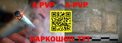 хмурый Кингисепп